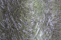 West Barnes fibreglass roof work